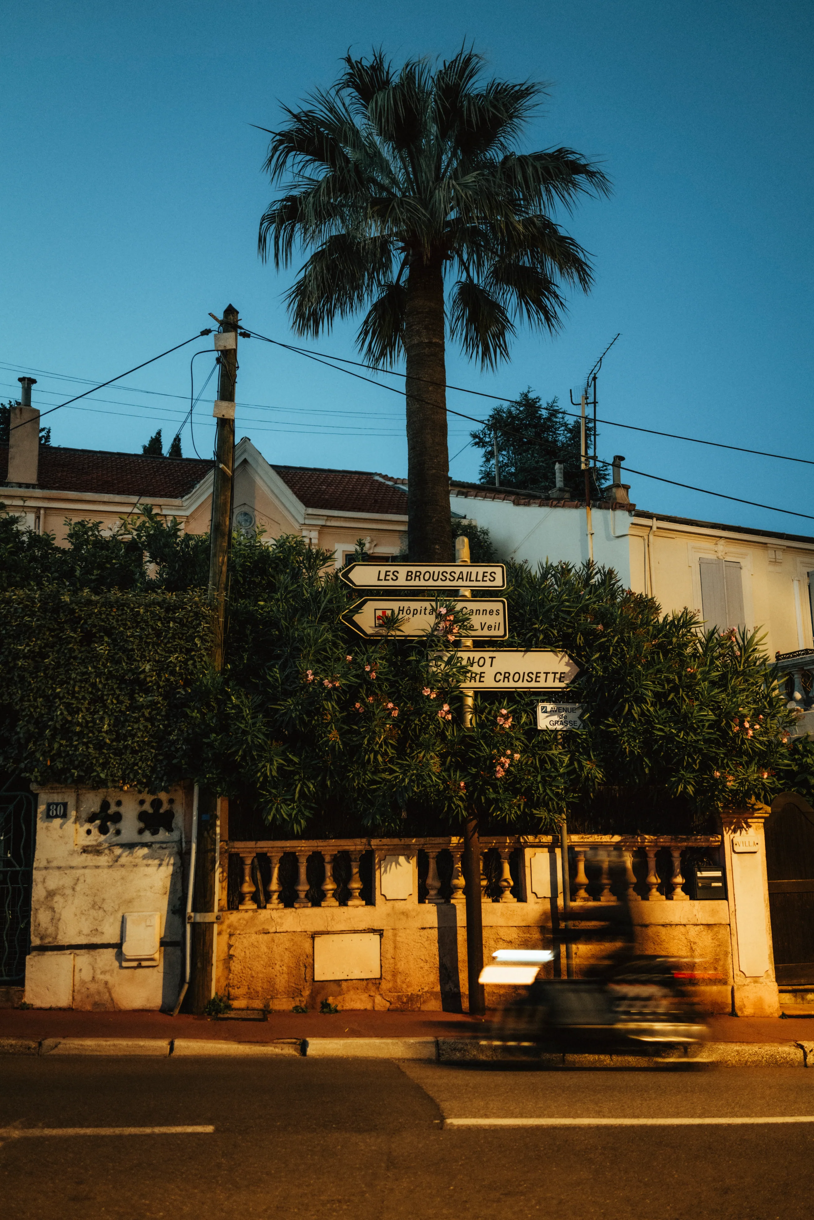 Palme und Straßenschild La Croisette bei Nacht