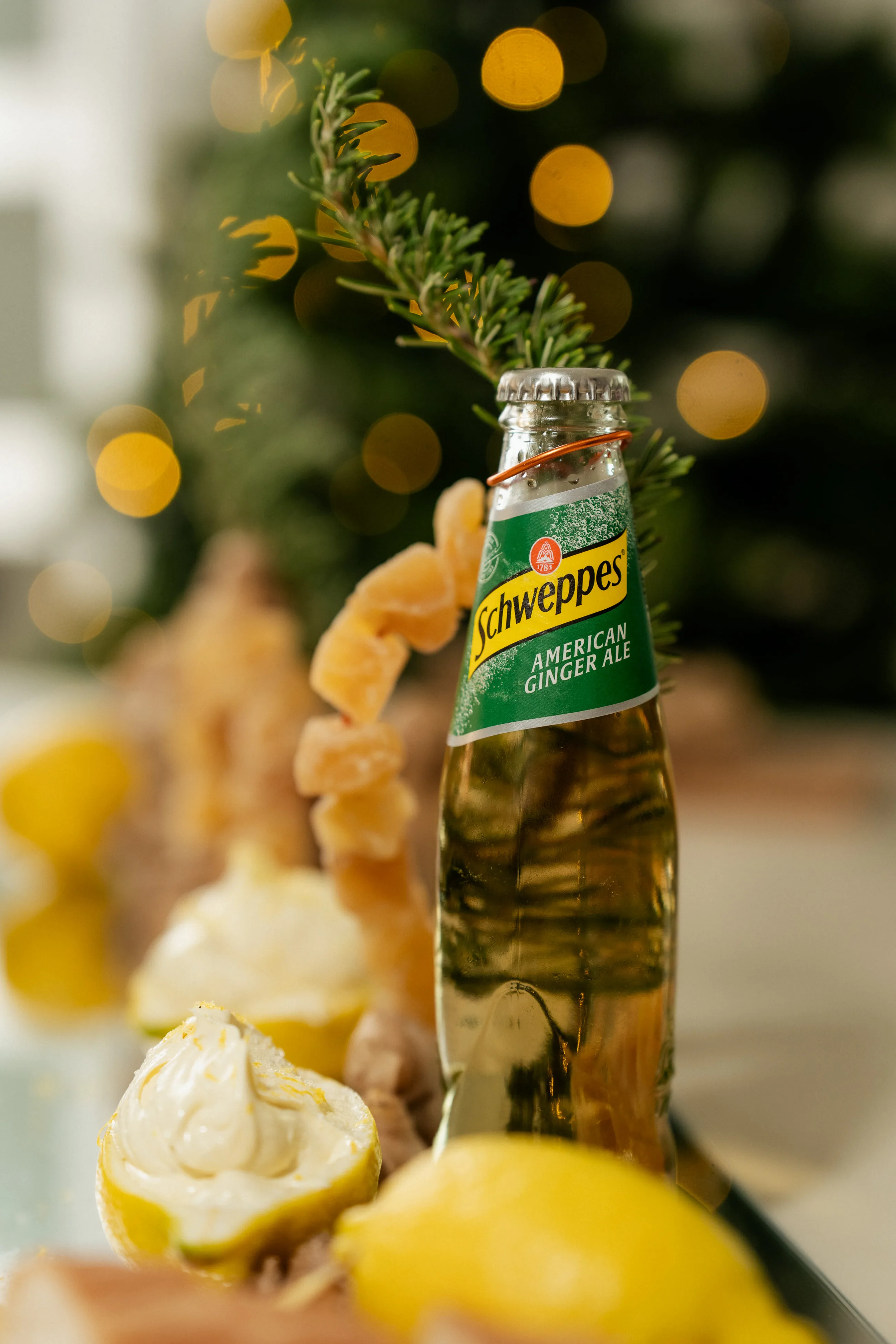 Schweppes House of Hosting Mallorca – dsc03641